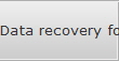 Data recovery for South Valley data